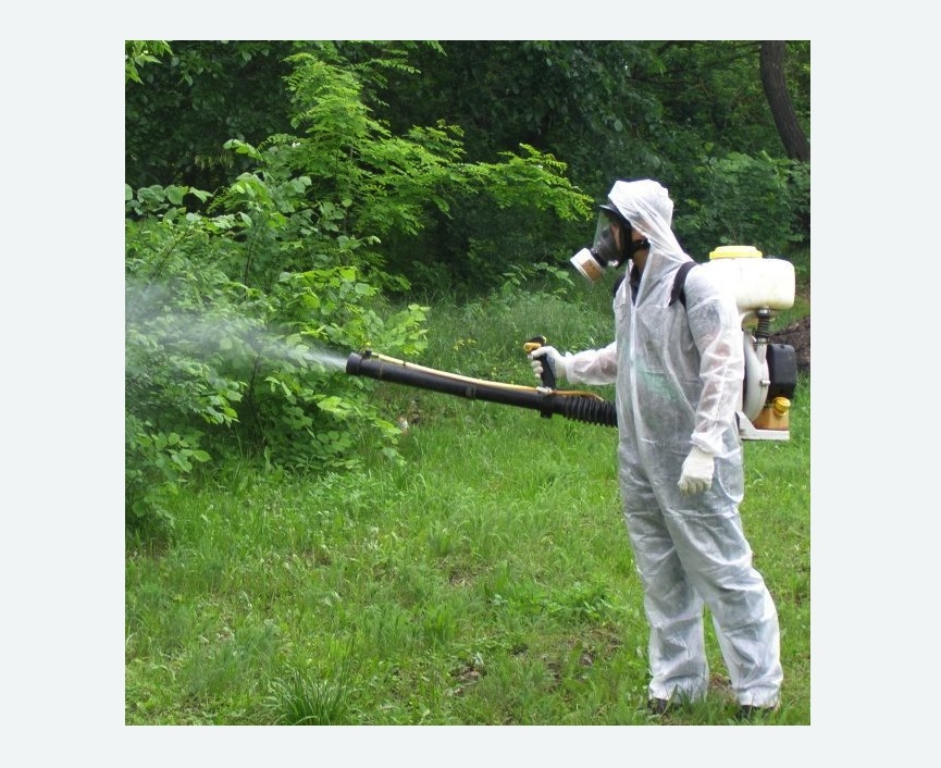 обработка территории от клещей в Лесном Городке