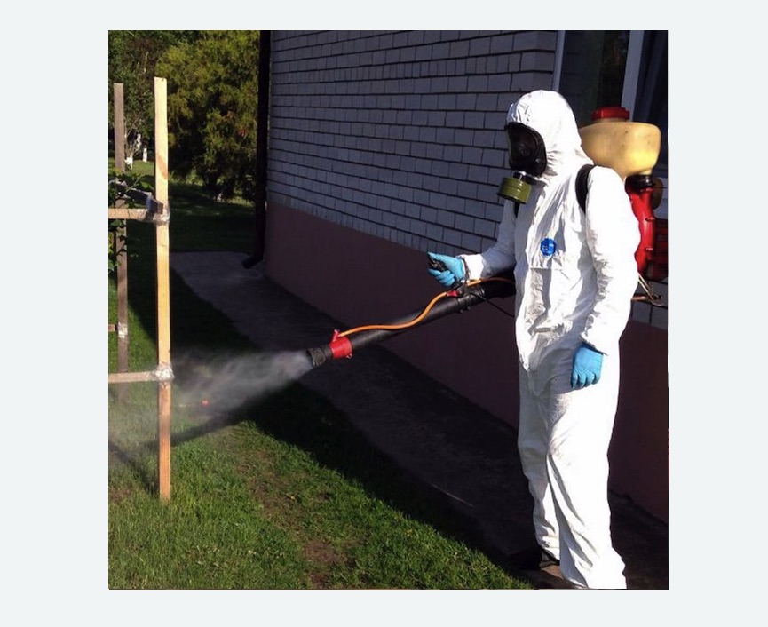 травля клещей на участке в Лесном Городке