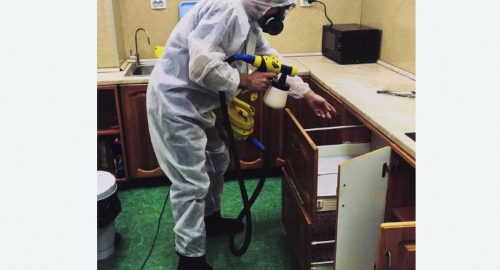 Уничтожение насекомых в квартире. Лесной Городок