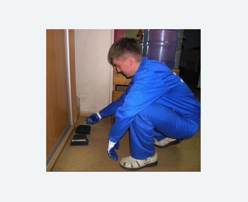 Дератизация крыс в Лесном Городке