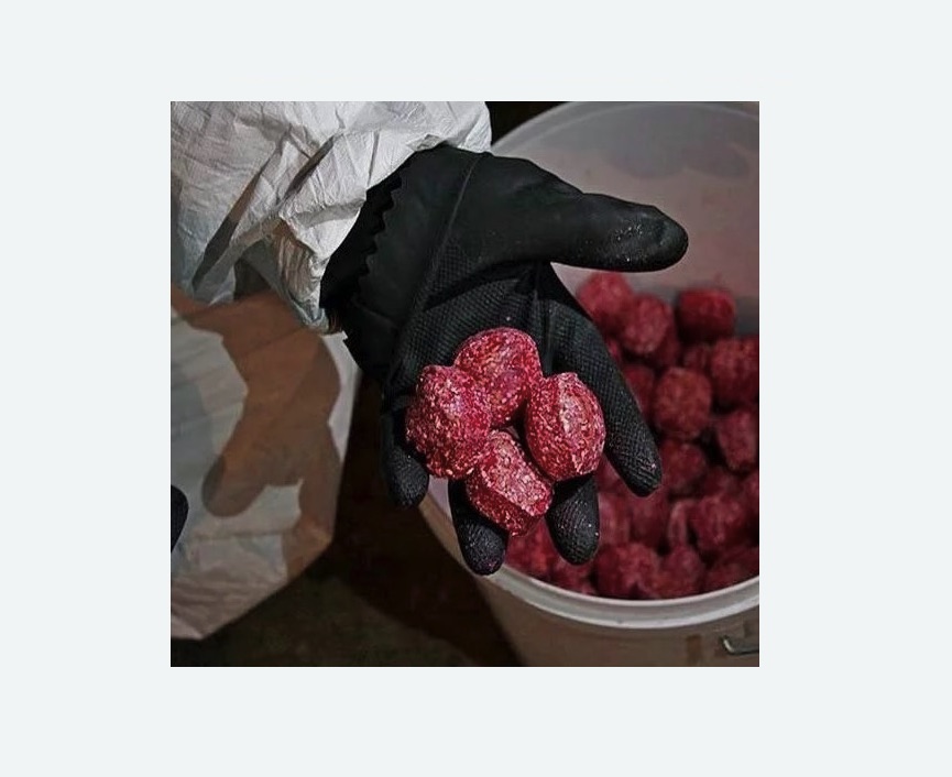 Обработка от крыс в Лесном Городке