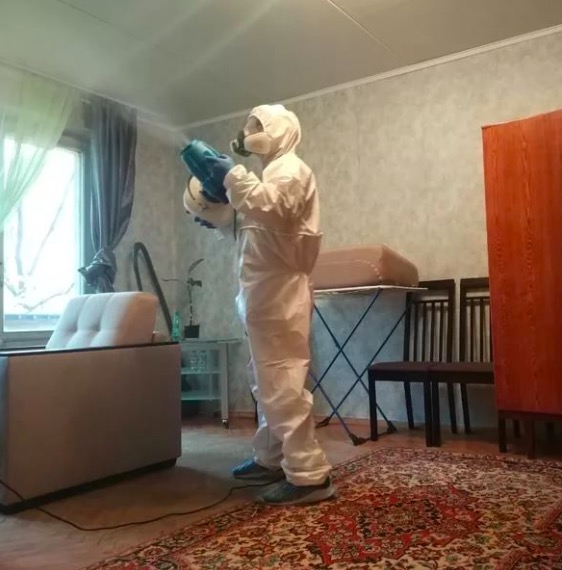 дезинсекция квартиры в Лесном Городке