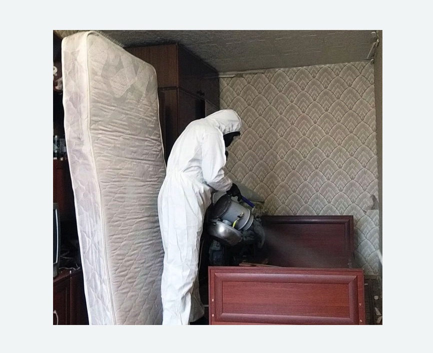 дезинфекция от клопов в Лесном Городке