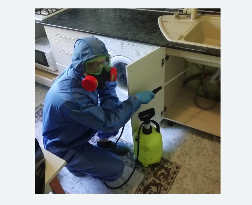 обработка от муравьев в квартире в Лесном Городке