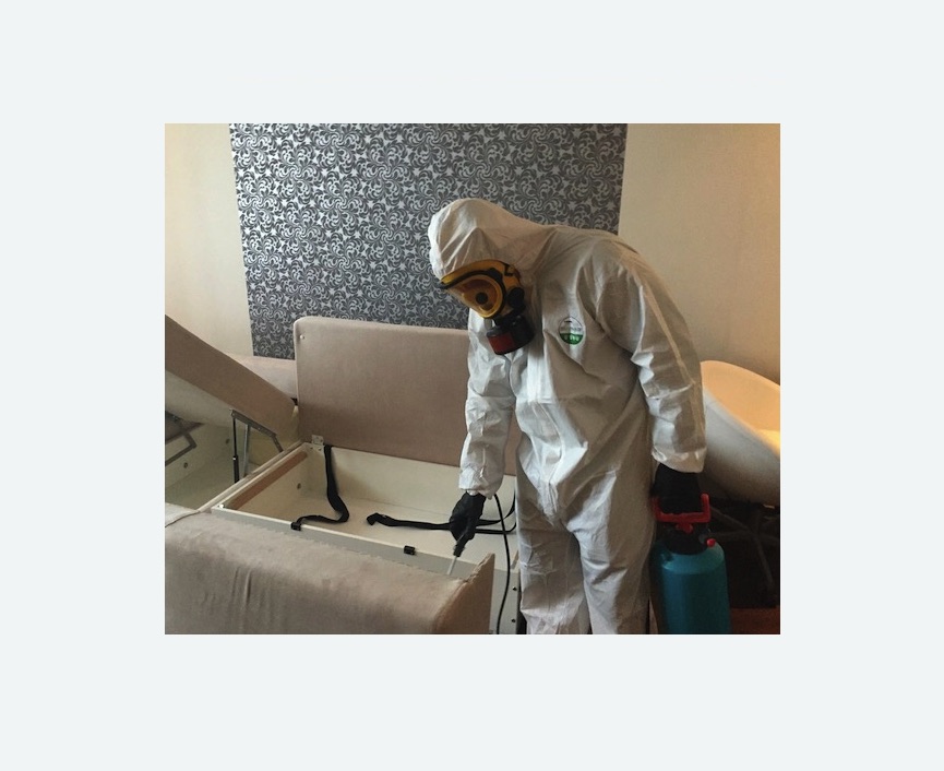 уничтожение клопов в квартире в Лесном Городке