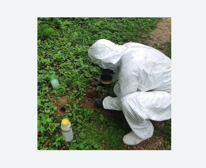 уничтожение кротов на участке в Лесном Городке