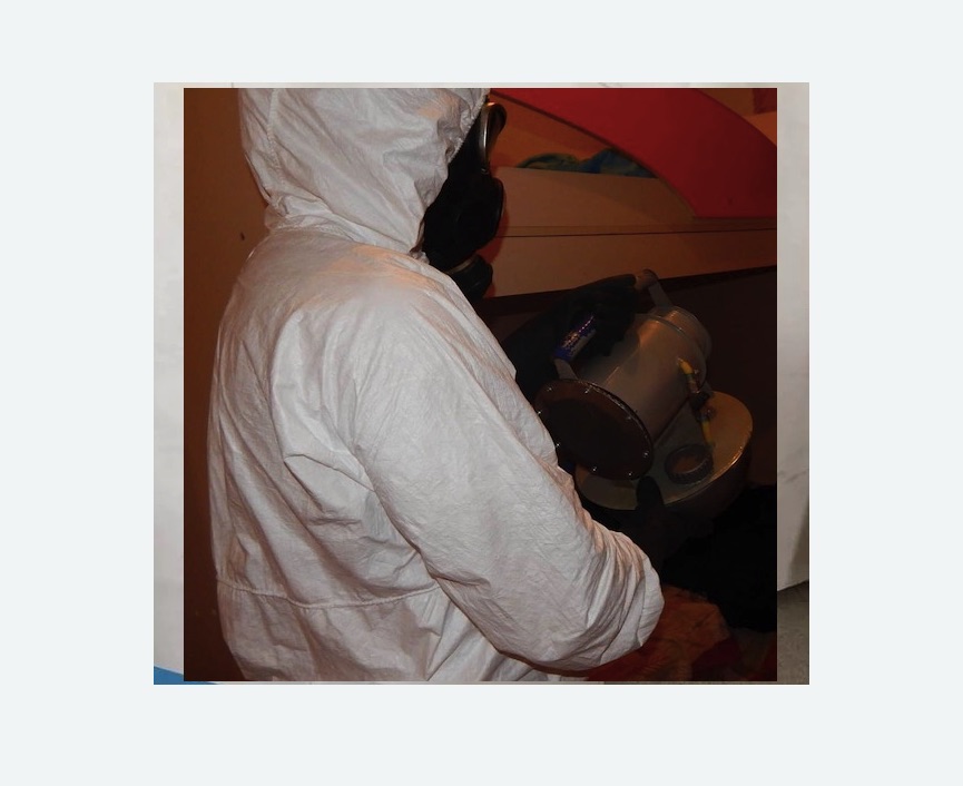 Дезинфекция от муравьев в Лесном Городке