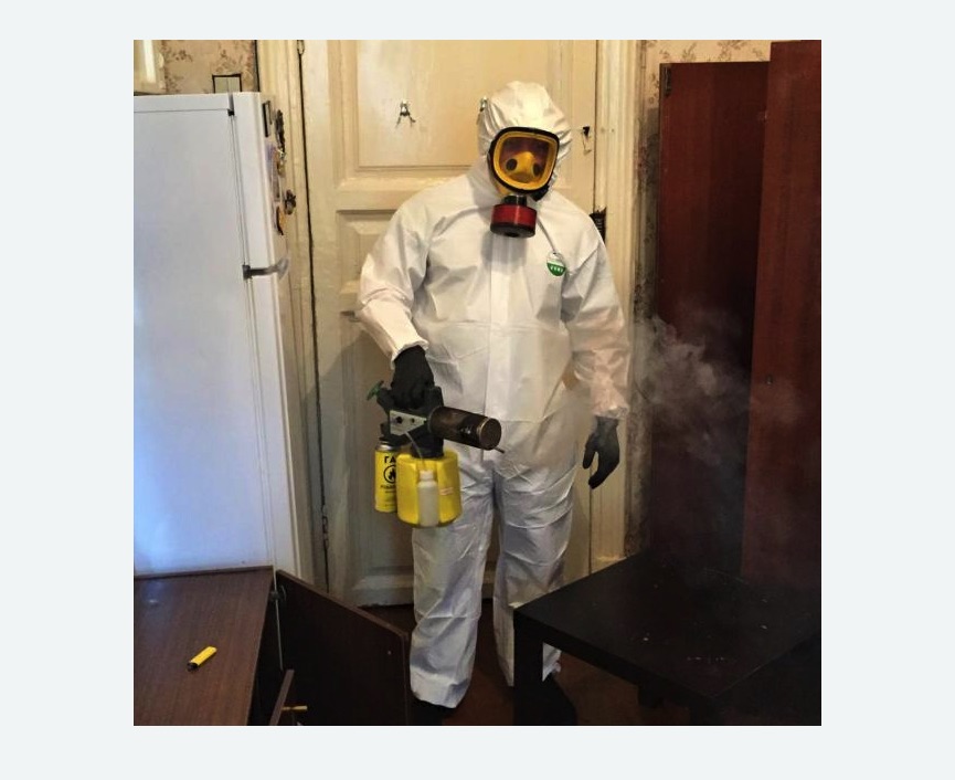 уничтожение муравьев в квартире в Лесном Городке